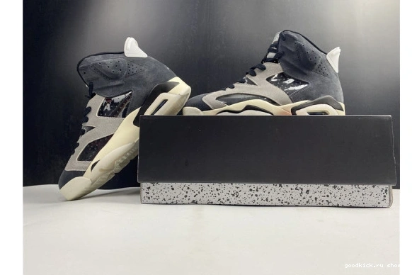 Jordan 6 WMNS “Tech Air Jordan-6 Chrome 0303